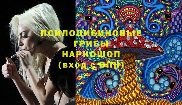 круглые Алзамай