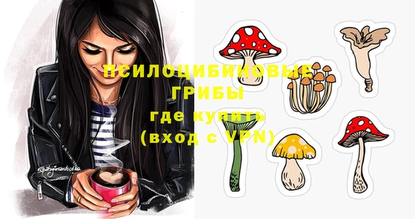 амф Алексеевка