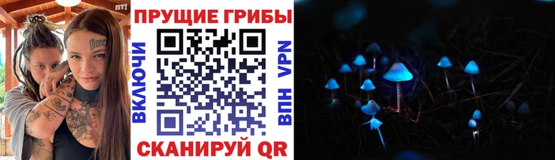 Псилоцибиновые грибы мухоморы Евпатория