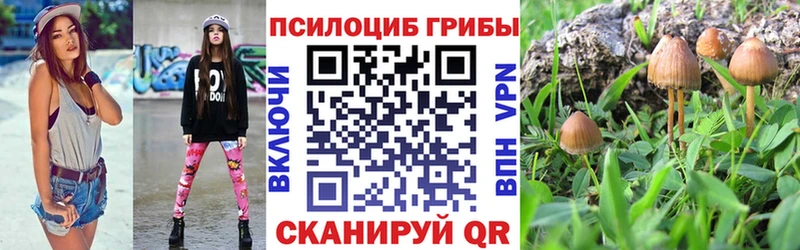 Галлюциногенные грибы мухоморы даркнет сайт hydra ССЫЛКА Евпатория
